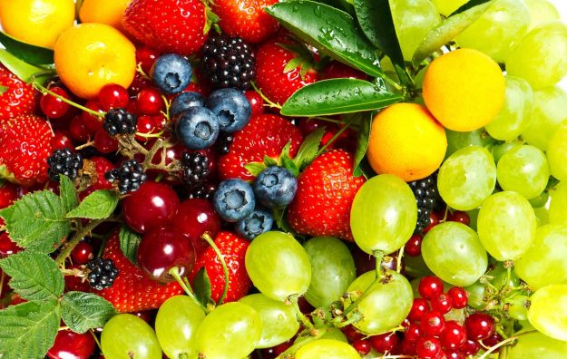 Mediteranski jelovnik