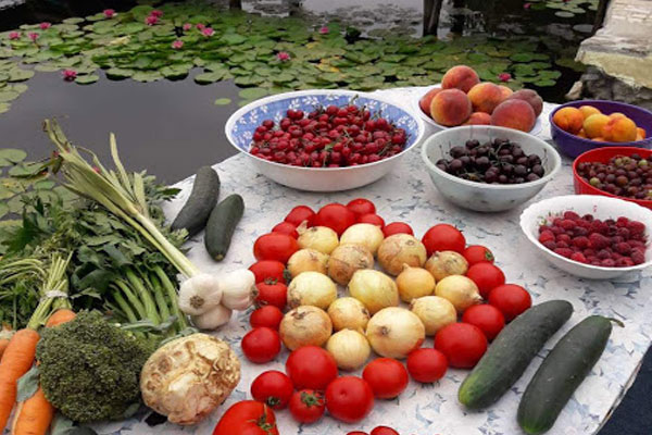 Mediteranski jelovnik 2500kcal